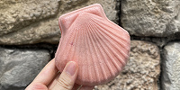 食べ物を写しても♪| キャステル | CASTEL ディズニー情報
