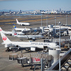 キャステル 【羽田空港】スカイステーションとは？営業時間＆アクセス方法まとめ！展望デッキでビールを楽しもう！
