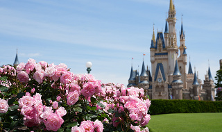 【2026】春休みディズニーを攻略！２月・３月・４月の混雑対策やおすすめの楽しみ方をご紹介！