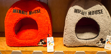 ペットと一緒にディズニーを楽しもう ペットクラブは営業終了 シェラトンに預かり