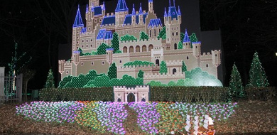 グリムの森 ディズニー好き必見のインスタ映えスポット お菓子の家 無料イルミ