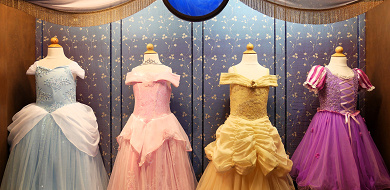 最新 ディズニープリンセスコスプレ選 Dハロ仮装におすすめ コスプレの注意点も