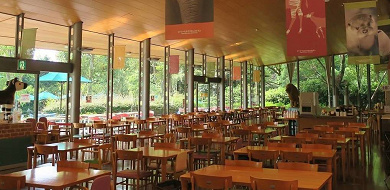 21 ズーラシアのレストラン紹介 ここでしか食べられないオススメ料理やランチの