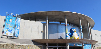 【世界一】長崎ペンギン水族館の体験レポ！チケット料金、アクセス、ランチ、お土産、見どころを紹介♪