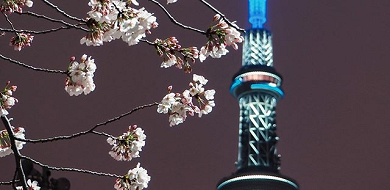 【2020】東京スカイツリーのデートならここ！レストラン、水族館、プラネタリウム、最新スポットも♪