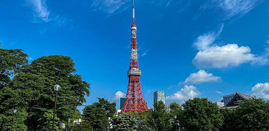 【東京】おすすめ観光スポット完全版！初心者向けの定番観光地12選！