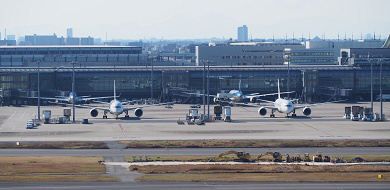 【羽田空港】お土産に人気の和菓子11選！値段＆販売場所をまとめて紹介♪