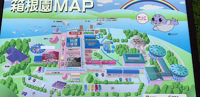 【体験レポ】水族館＆動物園が楽しめる箱根園！料金・アクセス・ランチ・お土産・周辺情報も！