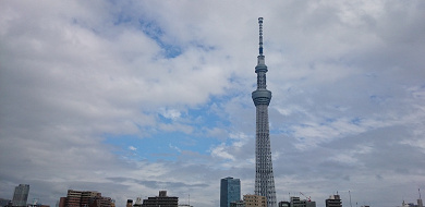 【はとバス東京観光おすすめ3選】半日コースも1日観光もOK！東京スカイツリー名所＆グルメ巡り旅まとめ！