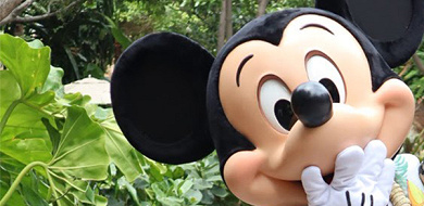 【2020】ハワイのディズニー完全ガイド！アウラニホテル、ディズニーストア、ハワイ限定カメのオルくんも