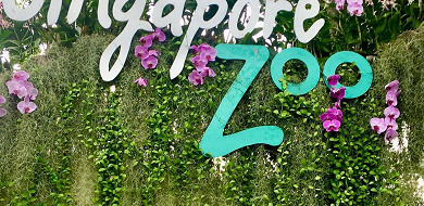 【徹底解説】シンガポール動物園の見どころと基本情報まとめ！アニマルショー&体験型アクティビティも