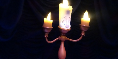 ルミエールの恋人フェザーダスターの名前は4つ！名前の違いや正しい呼び名は？