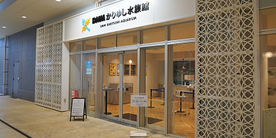 【2023】沖縄・DMMかりゆし水族館まとめ！料金＆割引、見どころ、お土産、アクセス情報を総まとめ！