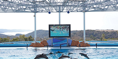 アドベンチャーワールドのテーマソング6選！人気の歌から平原綾香さん書き下ろしの歌まで