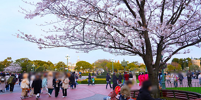 【2022年4月】ディズニーランドの混雑状況と現地レポ！アトラクション・レストラン・ショップの混雑具合は？