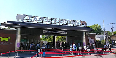 天王寺動物園のアクセス情報まとめ！電車・車・バスでの行き方を詳しく解説！