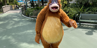 【注目】ディズニー映画に登場する猿キャラクター8選！