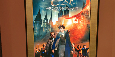 【ネタバレあり】映画『ファンタビ３／ダンブルドアの秘密』のあらすじを解説！キャストや日本語吹き替え声優もチェック