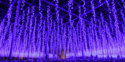 【2024-2025】あしかがフラワーパークのイルミネーション！開催期間、料金、アクセスまとめ