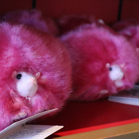 ハリポタに登場する魔法動物「ピグミーパフ」を紹介！魔法界でも大人気♪USJハリポタエリア期間限定イベントについても！