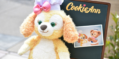 ディズニーシーのクッキーアングリーティングはいつからいつまで？期間&場所まとめ！海外パークとの比較も