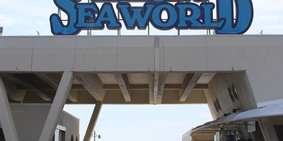 【鴨川シーワールド】周辺のおすすめスポットまとめ！観光、食事、宿泊の必見情報を紹介