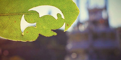 ディズニーランドの隠れミッキーを写真つきヒントでご紹介！