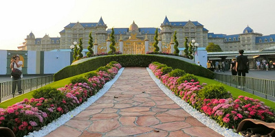 【2023】ディズニーのアフタヌーンティー！ラウンジの場所、期間限定メニュー、値段と予約方法まとめ！