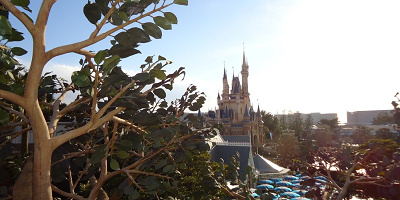 カップル必見！ディズニーランドデートのケンカの原因と対策