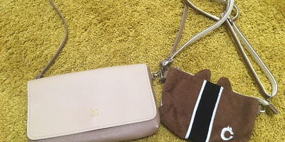 確認しよう！ディズニーランド・シーへの持ち物リスト