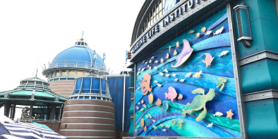 【待ち時間情報も】ニモ＆フレンズ・シーライダーの概要・混雑攻略まとめ