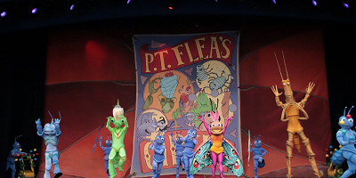 ピクサー映画「バグズライフ」あらすじ・ネタバレ＆登場キャラクター！トリビアも