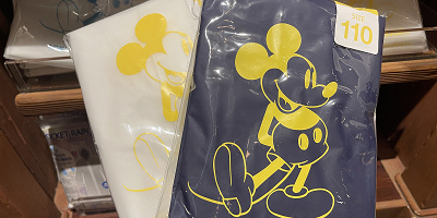 【2025】ディズニーランド＆シーの傘＆カッパ9選！折りたたみ傘・レインコート・ポンチョも！