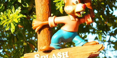 ディズニーお宝グッズ特集！ライター所有の10個！記念メダル・限定グッズ・缶・食器