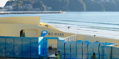 新江ノ島水族館（えのすい）徹底ガイド｜2024年クリスマス情報も！場所・営業時間・料金まとめ！おすすめのショー＆展示も！