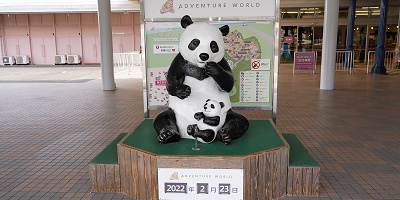 【和歌山】アドベンチャーワールド完全ガイド！基本情報とおすすめポイントまとめ！パンダがかわいい！