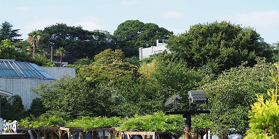 【2021】上野動物園について徹底解説！各エリア＆動物解説・モデルコースまとめ！