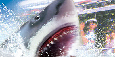 【USJ】夜におすすめのアトラクション4選！夜のパークを楽しむジョーズ＆バックドロップまとめ！