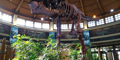 【2025】USJの穴場レストランまとめ！「混雑時でも入りやすい」「フリーWi-Fiが使える」「景色が良い」など、おすすめレストランを紹介