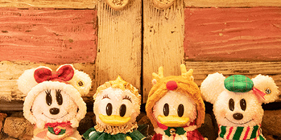 【最新】スノースノーメイク・イット・マイン2019！ドナルド＆デイジーが新登場！オンライン予約に対応！