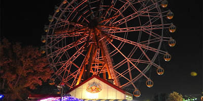 【2019-2020】東武動物公園のイルミネーション！料金、期間、アクセス、混雑まとめ！無料日情報も♪