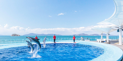 【2023】四国水族館の料金を紹介！チケットの種類、料金、割引はある？入館済みチケットで受けられる特典も！