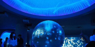 【新江ノ島水族館】えのすいのクラゲ展示を解説！日常を忘れる癒し空間の見どころ、お土産グッズ情報も
