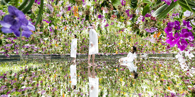 【体験レポ】チームラボプラネッツ豊洲を徹底紹介！ガーデンエリア誕生☆チケット、所要時間情報も！