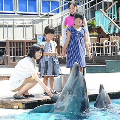 水族館：ツアー・アトラクション