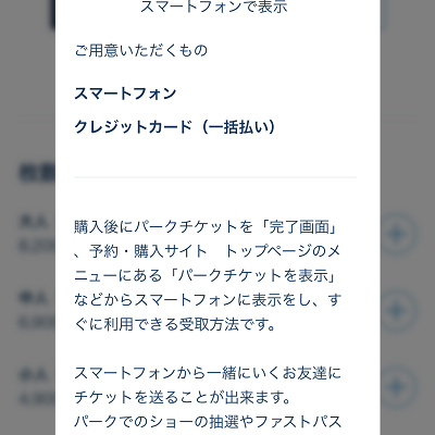 ディズニーチケットの種類 キャステル Castel ディズニー情報