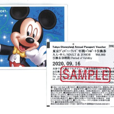 年間パスポート引換券 キャステル Castel ディズニー情報