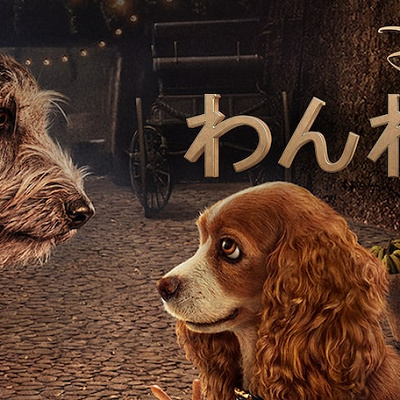 実写版 わんわん物語 に出演しているのは本物の犬たち キャステル Castel ディズニー情報