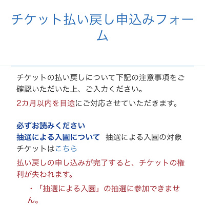 ビッグ10 アトラクション利用券付 キャステル Castel ディズニー情報