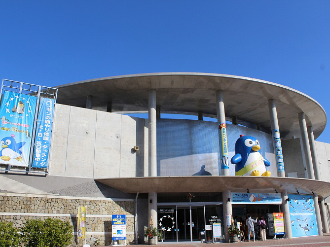 【世界一】長崎ペンギン水族館の体験レポ！チケット料金、アクセス、ランチ、お土産、見どころを紹介♪